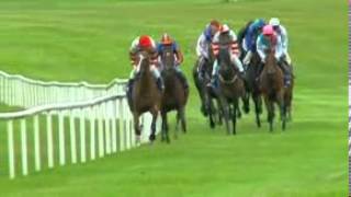 Sariska - The Irish Oaks - 2009 Group 1