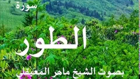 سورة الطور بصوت الشيخ / ماهر المعيقلي 52