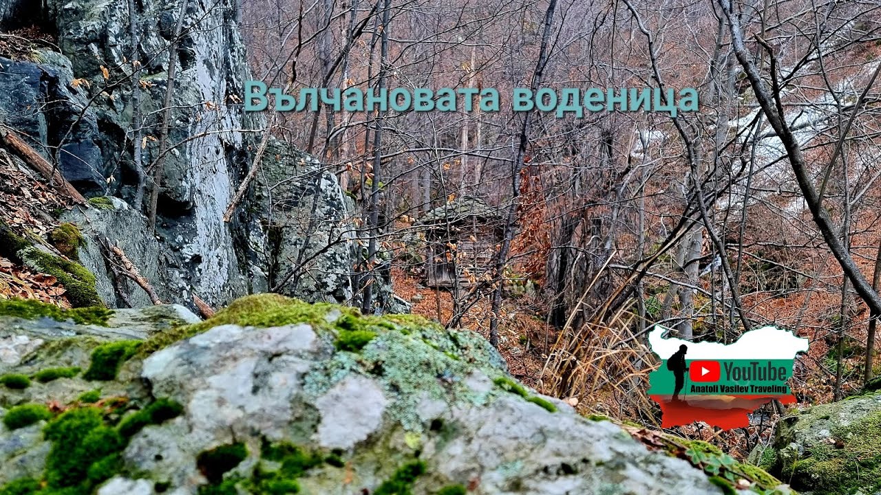 В търсене на 