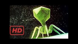 Most Lethal Virus In History - Secrets Of A Deadly Virus Documentary - National TV by Christopher Bennett 3,640 views 6 years ago 2 hours, 16 minutes
