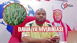 Maajabu ya Kivumbasi Maajabu ya Kivumbasi