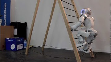 Nao and the ladder