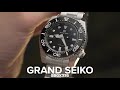 The function forward Grand Seiko SBGX335
