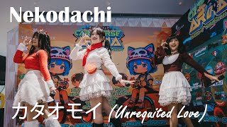 Nekodachi - Kataomoi (カタオモイ - Unrequited Love) @ Cardverse Arena 2025 // 20.12.2025