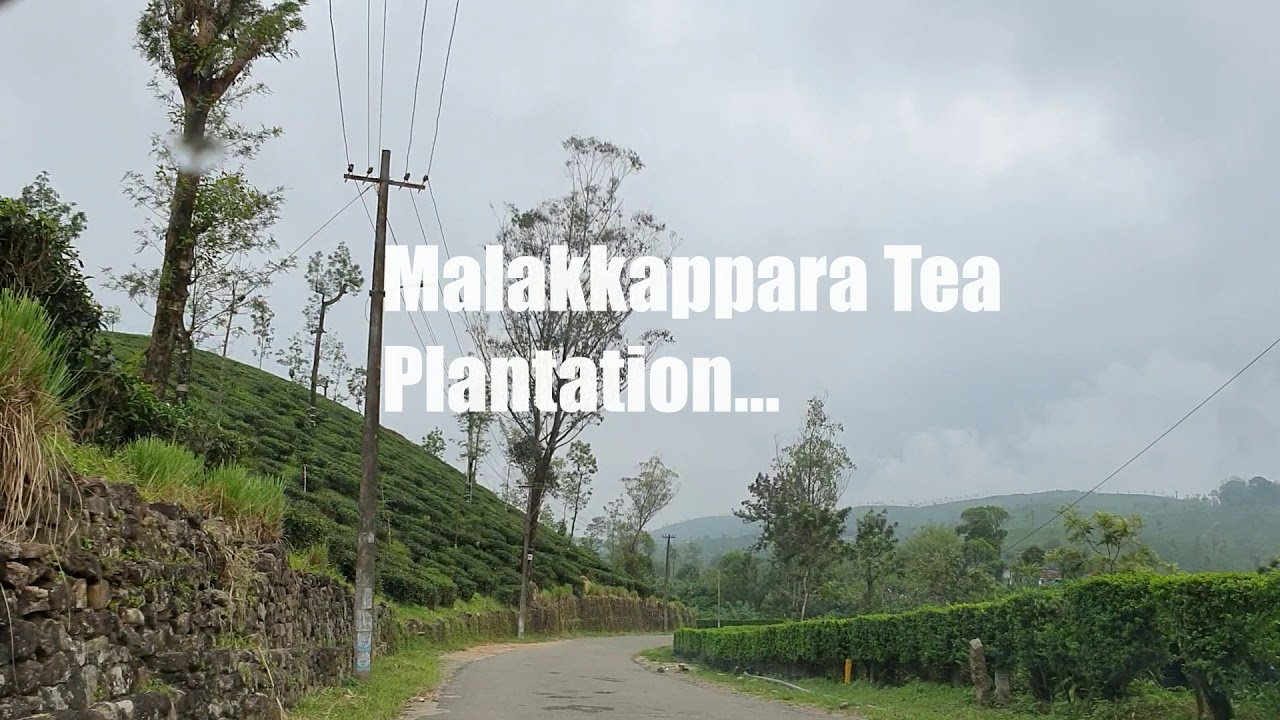 Deep Forest  & Tea Plantation Ride Athirappilly Valparai Sholayar Dam