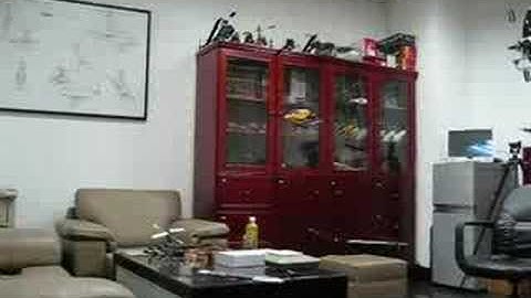 Align T-Rex 250 Flight Video