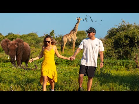 Our WILD AFRICA Experience - TOO Close! Everything You NEED To Know Before You Go On Safari