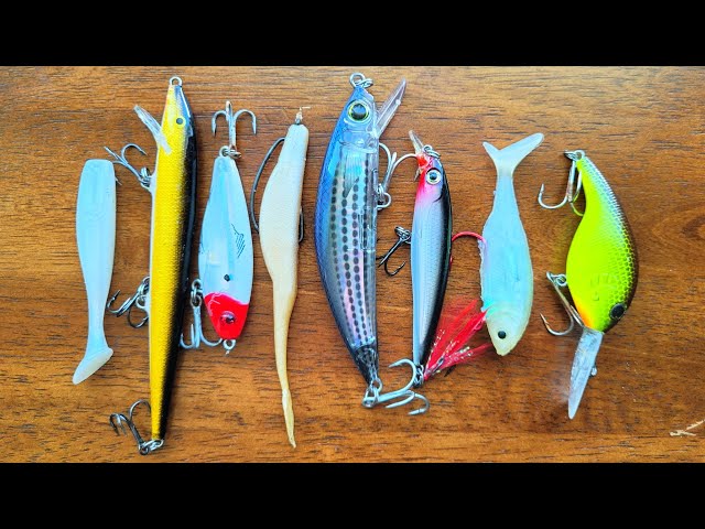 Swimbait vs Crankbait vs Jerkbait vs Twitchbait 