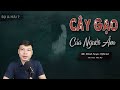 CÂY GẠO CỦA NGƯỜI ÂM - Truyện Ma Mới Có Thật Về ngôi nhà của những âm hồn MC Đình Soạn Kể Sợ Đó