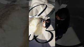 Luxury Wedding Party in Monaco 2025 – Part 3 | High-End Lighting &amp; Sound by GSF Events