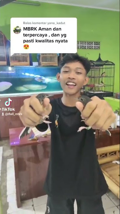 TIAP HARI SIBUK PACKING‼️DI LUAR SANA PADA SIBUK NGOMONGIN MBRK 😀(1)