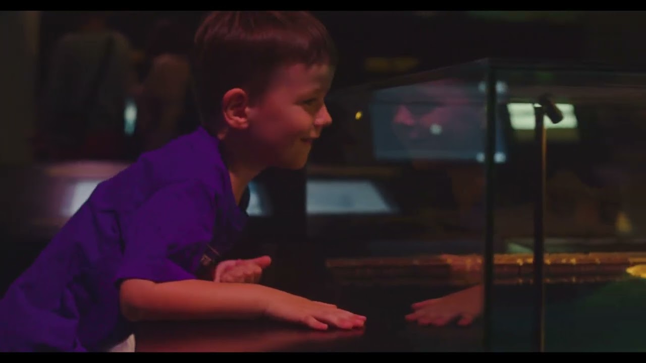 Прогулки в Paljassaare rand || Eesti Meremuuseum || Kadriorg || Tallinn