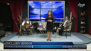 Aysel Demi̇rci̇ . Dağlar Dağlar