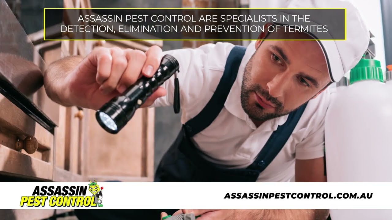 Assassin Pest Control (15Sec) Termite Inspection  - Service Greater Sydney, Penrith & Blue Mountains