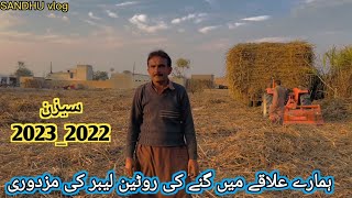 shogarcan Sezan 2022-2023 information about Labar Truly
