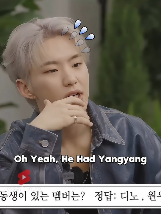 Hoshi forgot that Jun has a sibling #seventeen #hoshi #jun #mingyu #the8 #shorts #fypシ゚