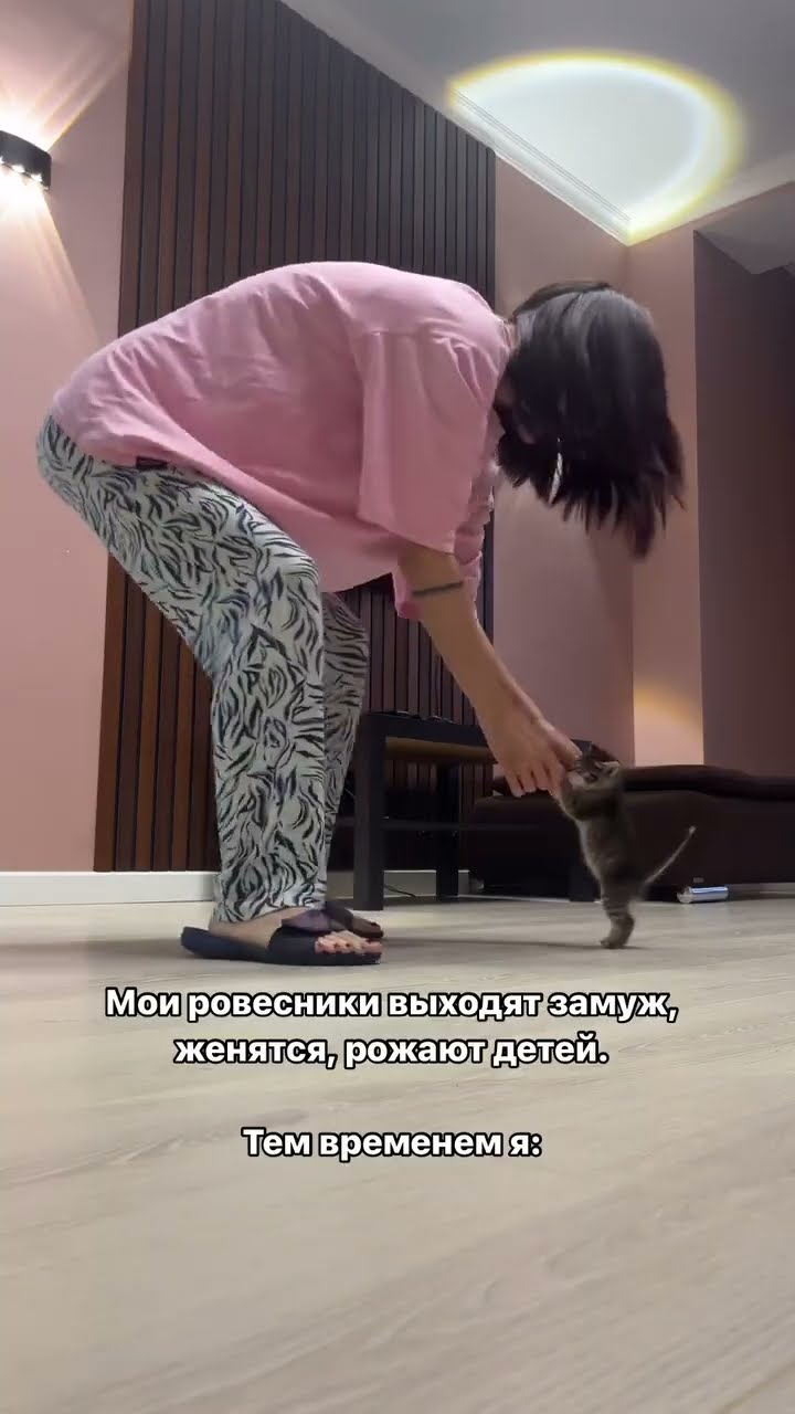 Bébé chaton très mignon ♥️ ♥️ ♥️ ♥️ ♥️ ♥️ ♥️