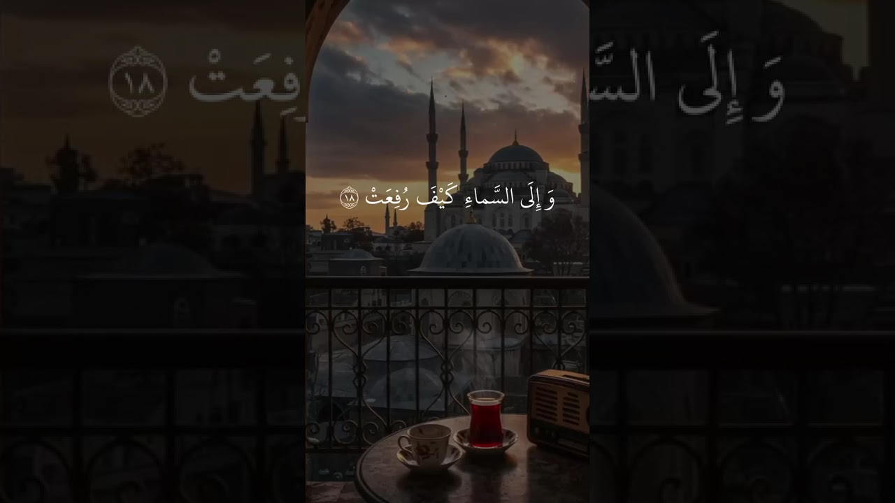 تلاوة مؤثرة 😢✨ يا أيها الإنسان ما غرك بربك الكريم الشيخ عبد الباسط عبد الصمد