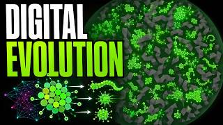 Computer Simulation Shows Evolutionary Processes 2