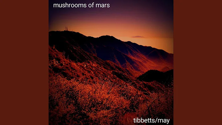 Alone in Gale Crater
