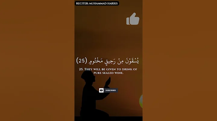 MOST BEAUTIFUL QURAN RECITATION: تلاوة قرآن جميلة جدا | Harris Quran|Quran Recitation@harrisrecites