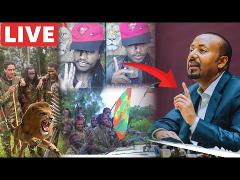 Waal Mormii Raayyaa Ittisa Biyyaa Fi Waraanaa Bilisummaa Oromoo Live Irratti