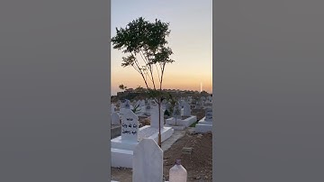 قل لا أملك لنفسي ضرا ولا نفعا🤍القارئ محمد ديبيروف🍀#تلاوة تأخذك لعالم آخر