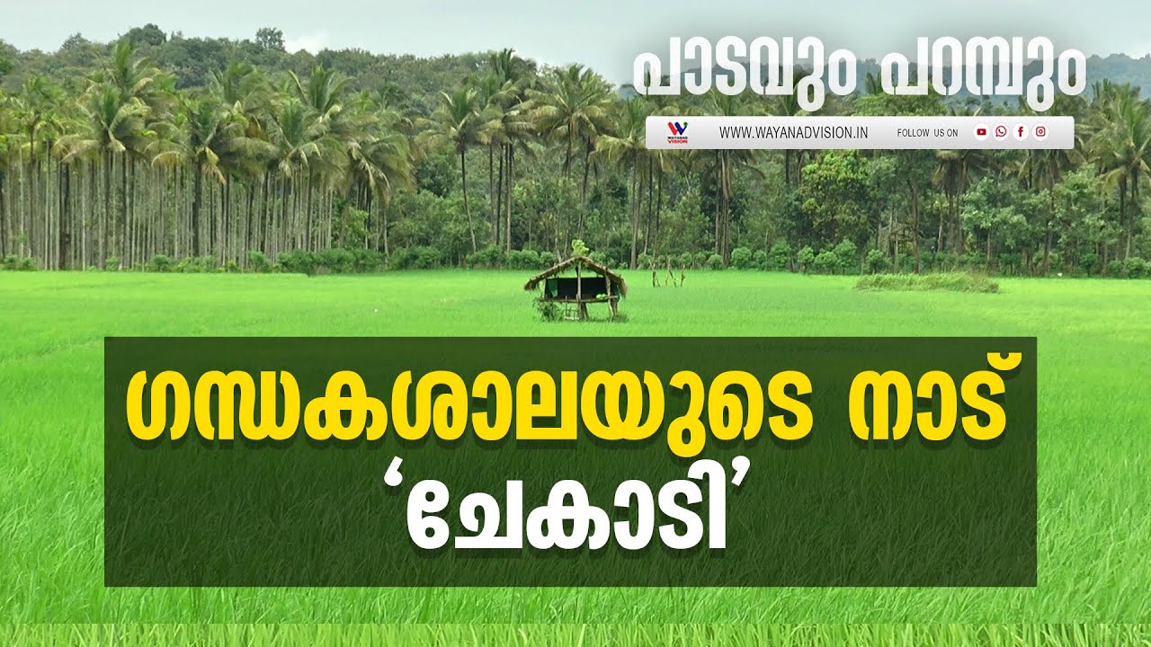 ഗന്ധകശാലയുടെ മണമുള്ള നാട്ടിലേക്ക് ഒരു യാത്ര | CHEKADI WAYANAD |