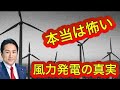 本当は怖い風力発電の真実 田鎖順太(北大工学研究院助教)× 草島進一(鶴岡市議)× 川田龍平(参議院議員)