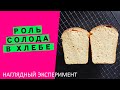 Роль солода в хлебе: НАГЛЯДНЫЙ ЭКСПЕРИМЕНТ! ⚗🧪