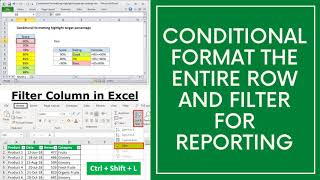 Conditional Format the Entire Row with Filter & Data Validation - Video #7, Excel Quick View Series