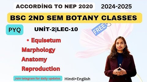 Equisetum(Morphology,Anatomy,Reproduction)L-10/unit-2|Bsc 2nd sem botany classes#bscbio#exam#biology