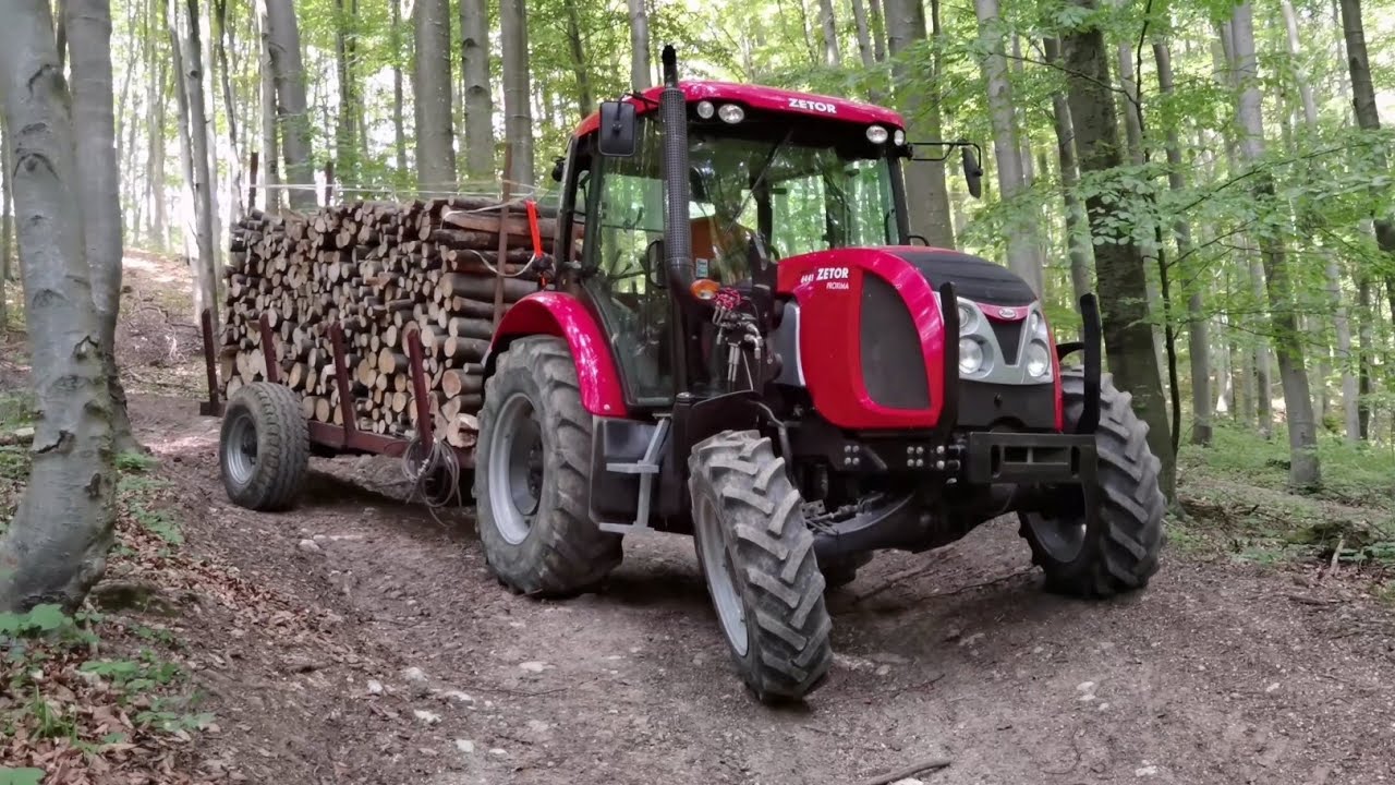 ZETOR Proxima  - Odvoz dreva na zimu / Holztransport | Logging | Work in Forest / Práca v lese