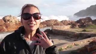 World Oceans Day: Coastal Clean Up 2017