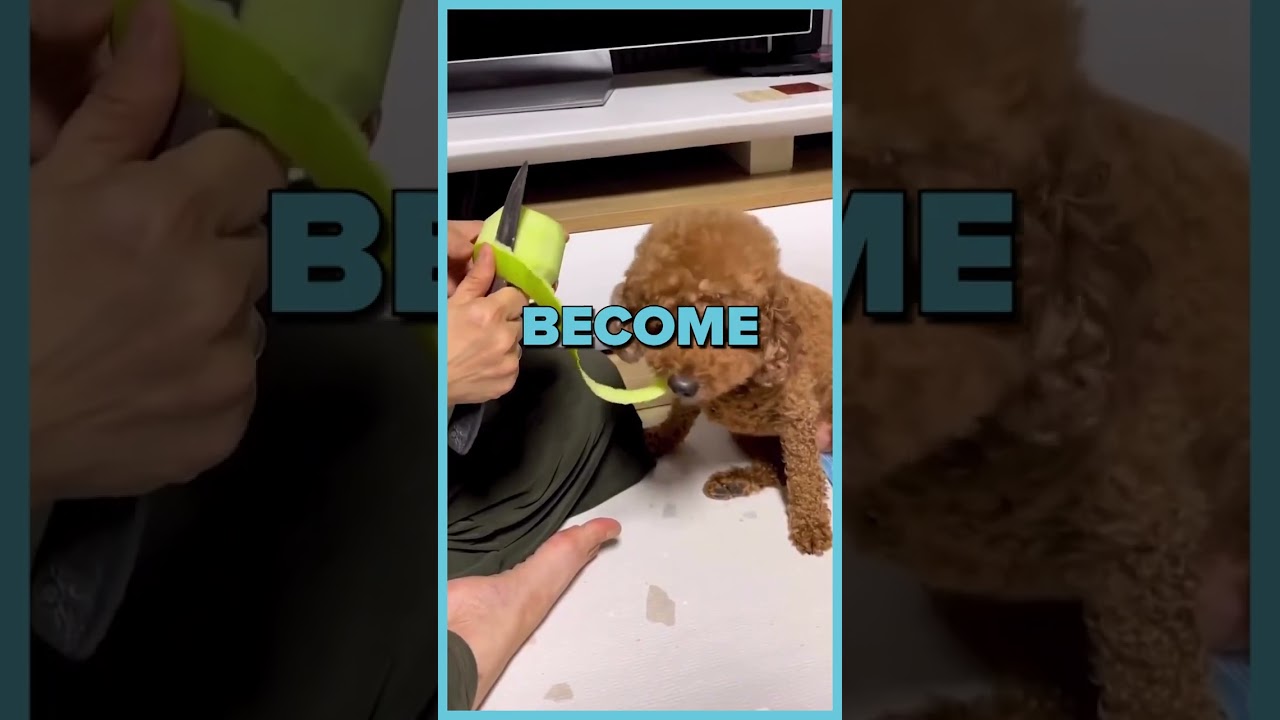 The SURPRISING Consequences Of Peeling An Apple With A Dog Around 😂| Wholesome Moments
