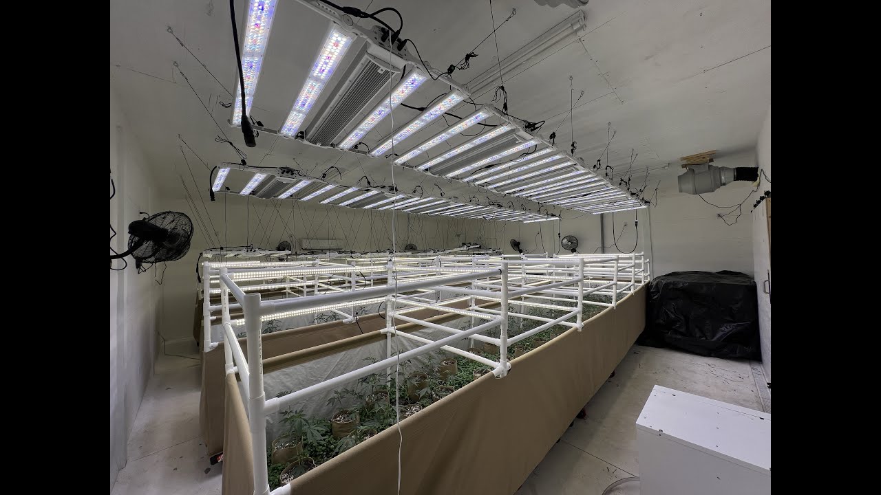 FOHSE SCORPIO PRO 1000W LED Indoor Grow - Update #2: Light Install