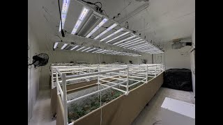 FOHSE SCORPIO PRO 1000W LED Indoor Grow - Update #2: Light Install