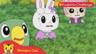 Shimajiro | Pendidikan Anak | Misteri Penyihir Ubi Ep.42.3 - Kodomo Challenge