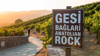 Gesi Bağları Psychedelic Anatolian Rock - Ai Version