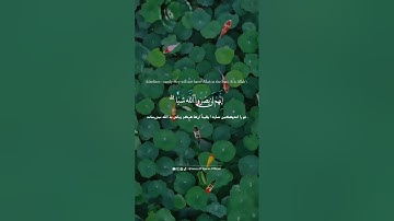 سوره ال عمران آیه 176💕💕