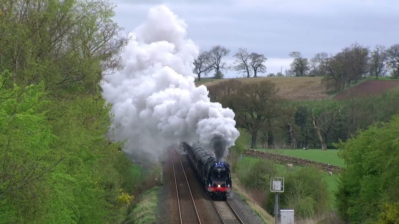 LMS 6233 Unassisted Monster