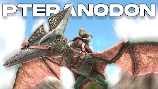 HOW TO TAME A PTERANODON & ALL ITS SKILLS (PC, PS & XBOX) - ARK HOW TO TAME A PTERANODON & ALL ITS SKILLS (PC, PS & XBOX) - ARK
