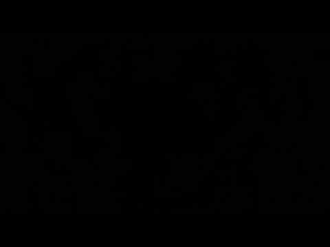 مقطع قصير من سورة الدخان للقارئ عبد الرؤوف أحمد نعناع 