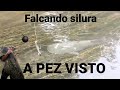 SILURAS a PEZ VISTO en el RIO EBRO