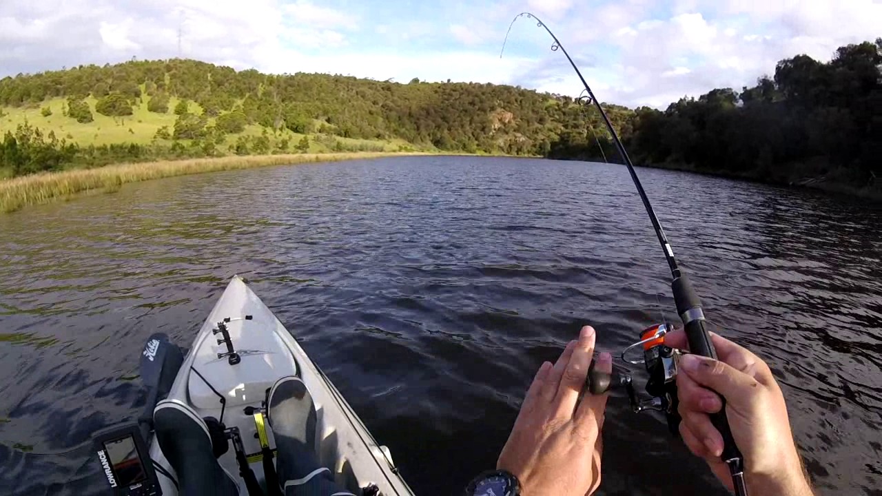 Kayak Fishing Tasmania Jordan River Bream YouTube