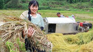 170畝油菜籽鄉親大豐收！ 給1000畝翠冠梨套帶子，累并快樂著勞動最光榮！ 【燕麥行遊】