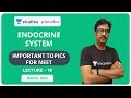 L18: Endocrine System | Most Important Topics for NEET | Pre-Medical - NEET/AIIMS | Bakul Dev