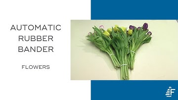 Flower Bouquet Banding ARB Automatic Rubber Banding Machine