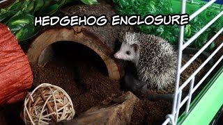 Setting up a Baby Hedgehog enclosure!