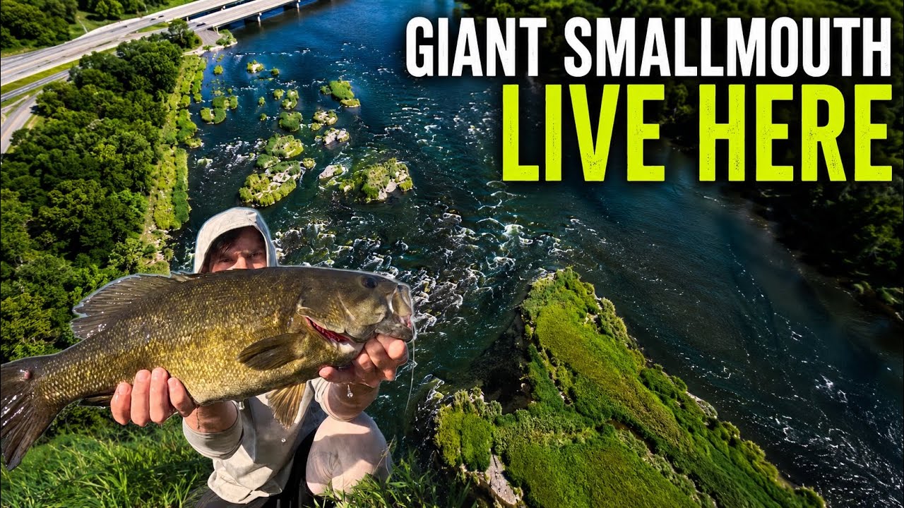 BIG Smallmouth INFEST These River Islands!